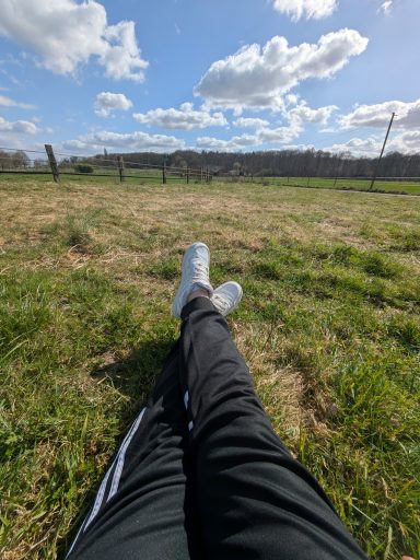 Off Day